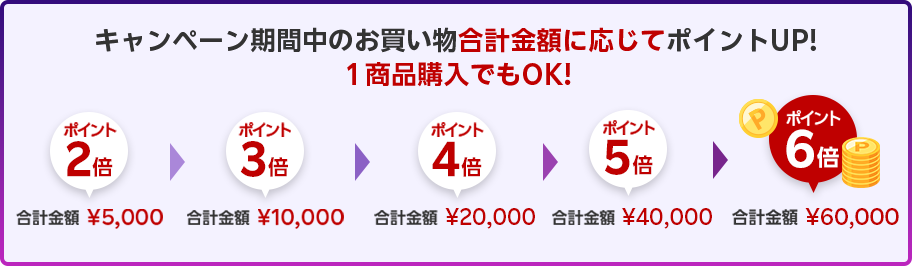 楽天超ポイントバック祭のポイントアップシステム 6万円以上購入でポイント最大5倍版