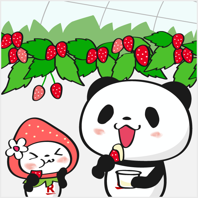 楽天お買い物マラソン2026年3月18日開催、30秒チャレンジ！間違い探しクーポンの比較用間違い画像